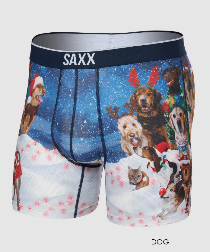 SAXX Brief Volt Boxer