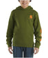 Carhartt Boys Graphic Hoodie