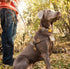 Browning Medium Walking Harness