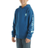 Carhartt Kids Graphic Hoodie